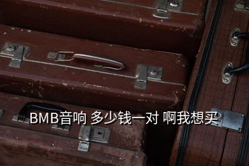 BMB音響 多少錢一對 啊我想買