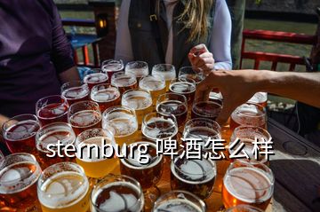 sternburg 啤酒怎么樣