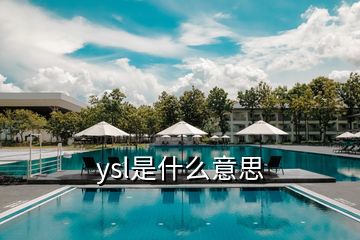 ysl是什么意思