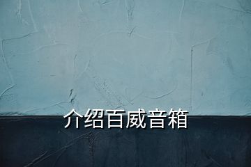 介紹百威音箱