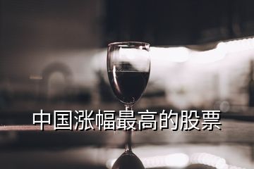 中國漲幅最高的股票