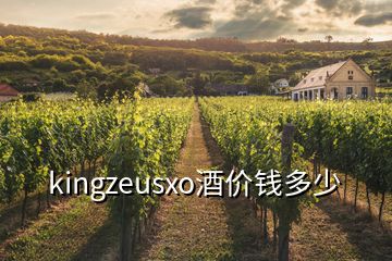 kingzeusxo酒價錢多少