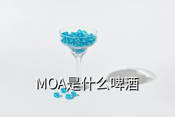 MOA是什么啤酒