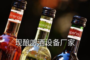 現(xiàn)釀啤酒設備廠家