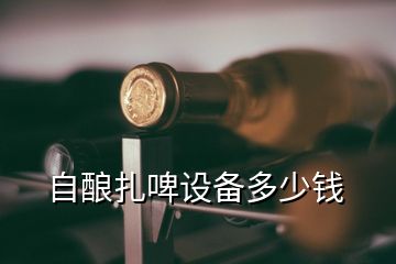 自釀扎啤設(shè)備多少錢