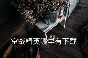 空戰(zhàn)精英哪里有下載