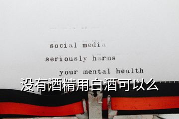 沒(méi)有酒精用白酒可以么