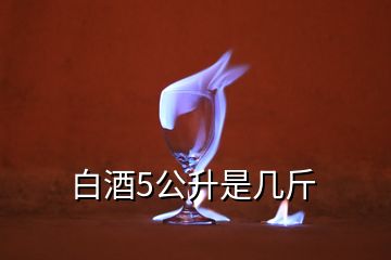 白酒5公升是幾斤