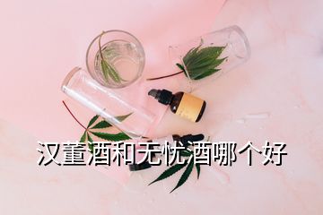 漢董酒和無憂酒哪個(gè)好