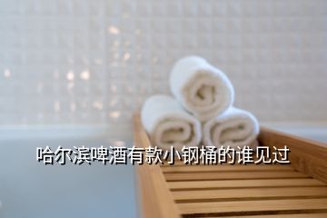 哈爾濱啤酒有款小鋼桶的誰(shuí)見(jiàn)過(guò)