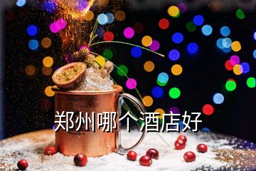 鄭州哪個(gè)酒店好