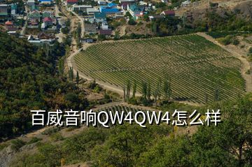 百威音響QW4QW4怎么樣