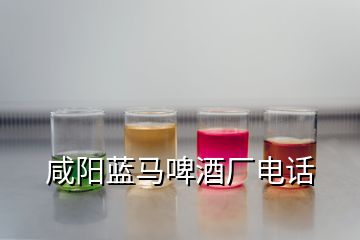 咸陽藍馬啤酒廠電話