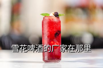 雪花啤酒的廠家在那里