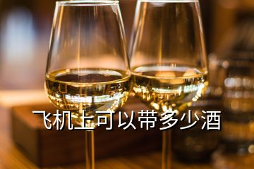 飛機(jī)上可以帶多少酒