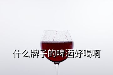 什么牌子的啤酒好喝啊