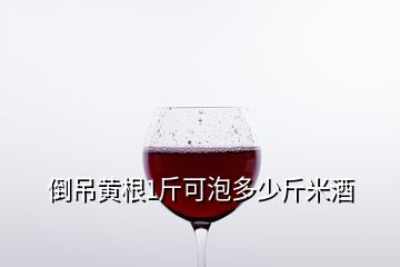 倒吊黃根1斤可泡多少斤米酒