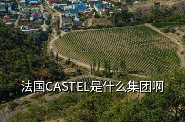 法國CASTEL是什么集團(tuán)啊