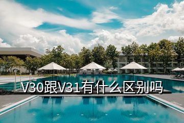 V30跟V31有什么區(qū)別嗎