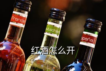 紅酒怎么開