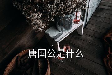 唐國(guó)公是什么