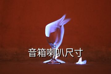 音箱喇叭尺寸