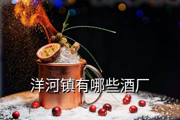 洋河鎮(zhèn)有哪些酒廠