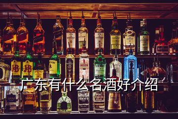 廣東有什么名酒好介紹