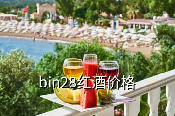 bin28紅酒價格