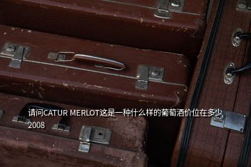 請問CATUR MERLOT這是一種什么樣的葡萄酒價(jià)位在多少2008