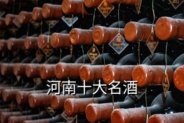 河南十大名酒