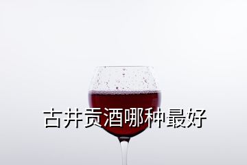 古井貢酒哪種最好