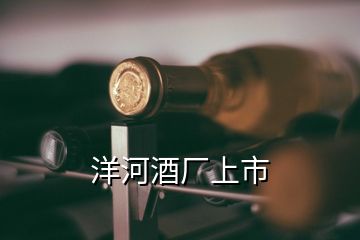 洋河酒廠上市