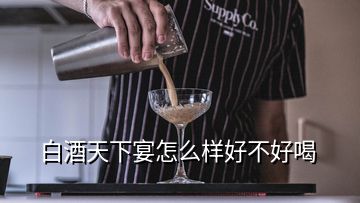 白酒天下宴怎么樣好不好喝