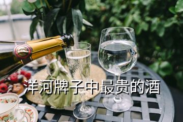 洋河牌子中最貴的酒