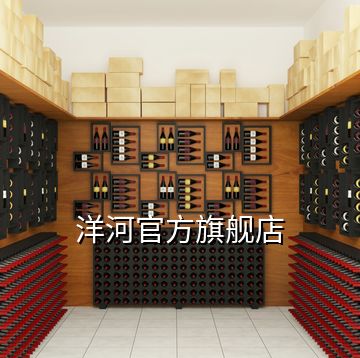 洋河官方旗艦店