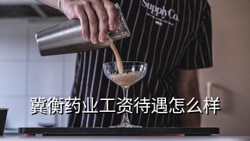 冀衡藥業(yè)工資待遇怎么樣