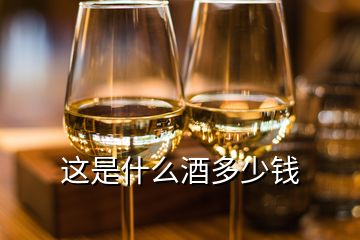 這是什么酒多少錢