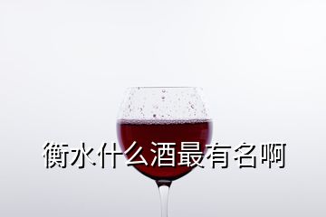 衡水什么酒最有名啊