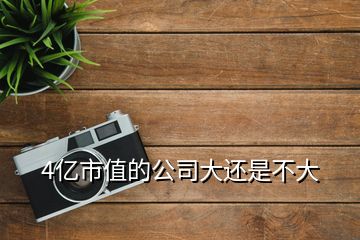 4億市值的公司大還是不大