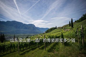 山東梁山第一酒廠的青瓷原漿多少錢