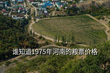 誰知道1975年河南的糧票價格