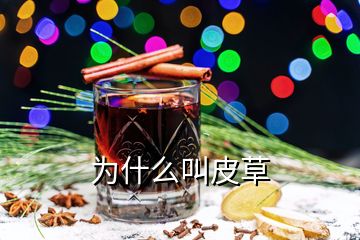 為什么叫皮草