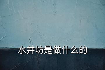 水井坊是做什么的