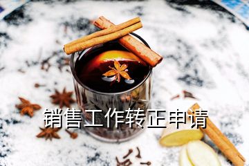 銷售工作轉(zhuǎn)正申請(qǐng)