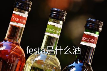 festa是什么酒