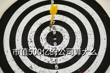 市值500億的公司算大么