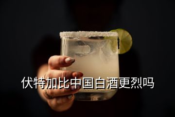 伏特加比中國白酒更烈嗎