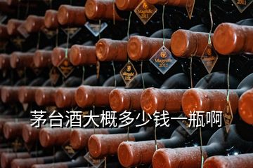 茅臺(tái)酒大概多少錢一瓶啊