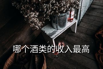 哪個(gè)酒類的收入最高